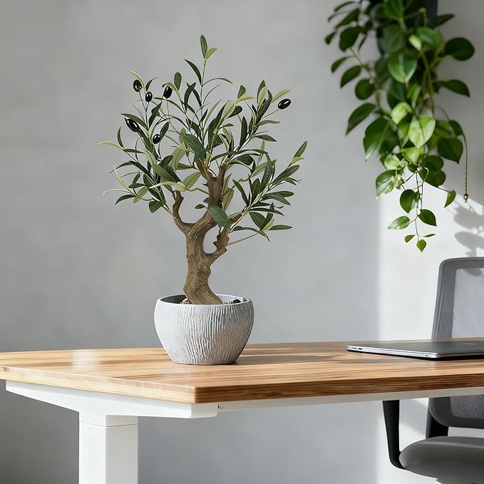 TOARTi Artificial Olive Tree Potted Plant with Stone Pot, 20.5" Tall Japanese Bonsai Tree Faux Plants Desk Plant, Realistic Greenery Decor for for Home Bedroom Bathroom Office Desk