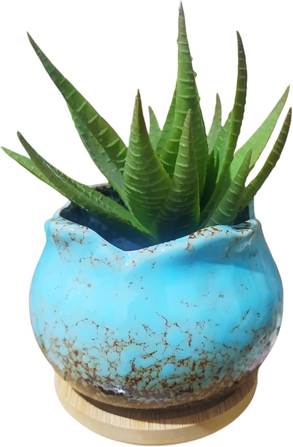 Cute Circular Ceramic Home Garden Decoration Succulent Cactus Flower Pots Container with Bamboo Tray -Plant Not Included (Blue, 4 Inch)