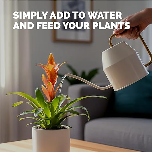 Bromeliad Fertilizer – Liquid Plant Food for Brighter Color, Stronger Roots & Healthy Tropical Growth, 32 oz