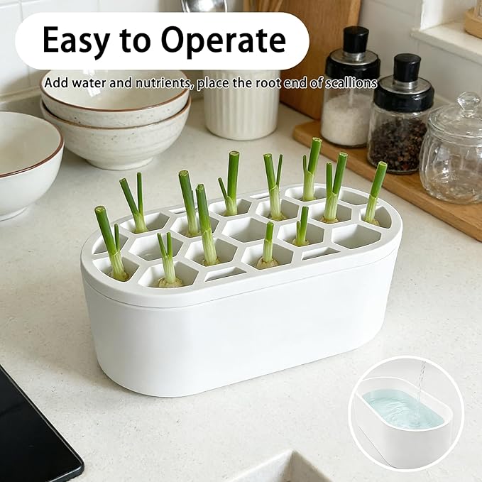 3D Printed Hydroponic Scallion Planter - Compact Indoor Growing Kit Regeneration Container for Fresh Scallions, Green Onions, and Chives