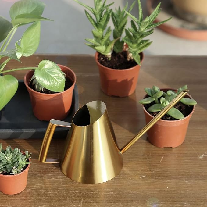 50.8 oz Watering Can Indoor Plants Stainless Steel Plant Waterer Watering Pot Sprinkle Pot Garden Flowers Plants Flower Tool Gold Watering Can with Long Spout (1500ml)