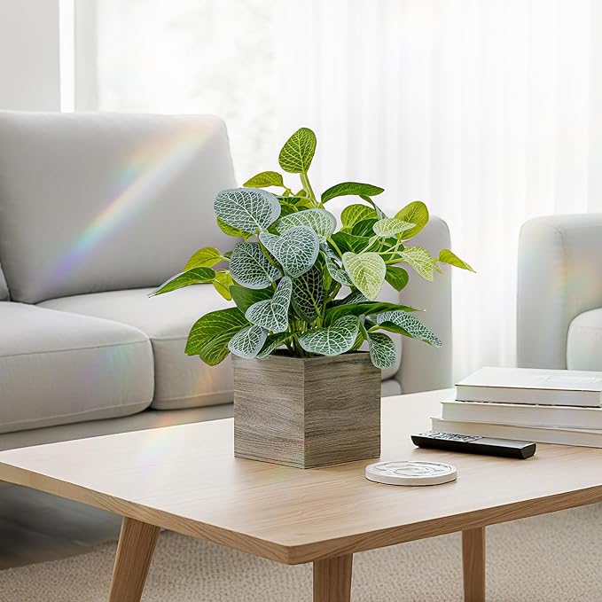 2 Pack 12" Medium Eucalyptus Fake Plants, Artificial Plants Indoor with 4 Inch Wooden Planters, Faux Potted Plants for Home Decor, Desk, Shelves, Desktop, Coffee Table, Bedroom