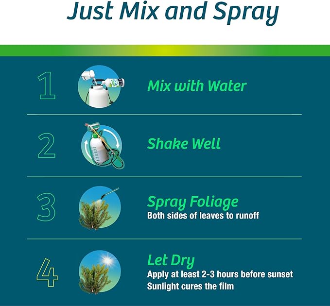 Wilt-Pruf® Concentrate | Protect Against Winter Damage, Drought, and Stress | Just Spray & Let Dry | Locks in Moisture w/Clear Foliar Film | Professional-Grade & Trusted | Replaces Burlap | (32 oz)