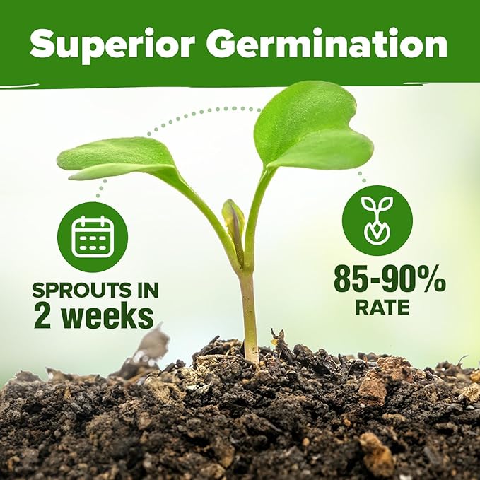 HOME GROWN Organic Herb Seeds Variety Pack - Non GMO, Heirloom 2,500+ High-Germinating Heirloom Seeds for Planting Indoor Outdoor Spring Herb Garden Hydroponics Garden Seeds, Basil Cilantro & More