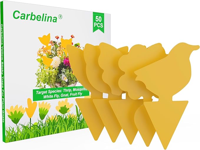 Gnat Traps for House Indoor Plants, Fruit Fly Traps for Indoors Sticky, Fungus Gnat Sticky Trap, 50pcs, Non-Toxic, Odorless, Harmless to Vegetables, Fruits, Plants