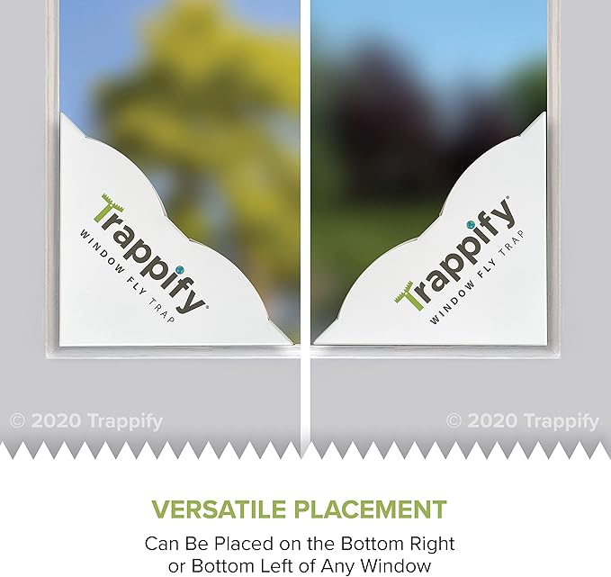 Trappify Window Fly Trap Indoor | Fruit Fly Traps for Indoors | Gnat Traps for House Indoor | Disposable Trap with Sticky Adhesive Strips | Bug Catchers (4 Pack)