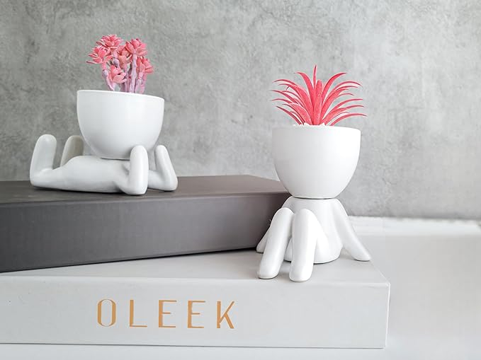 Small Fake Plant Office Decor for Women - Pink Gifts for Women - Cute Office Decor - Pink Decor for Office Decorations - Succulents Fake Plants for Shelf Decor - Office Supplies