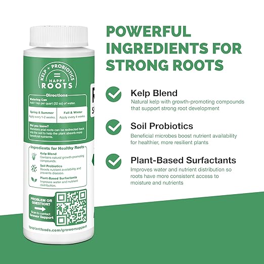 Root Stimulator for Monstera – Liquid Root Supplement with Kelp & Probiotics for Stronger Roots & Bigger Leaves, 8 oz