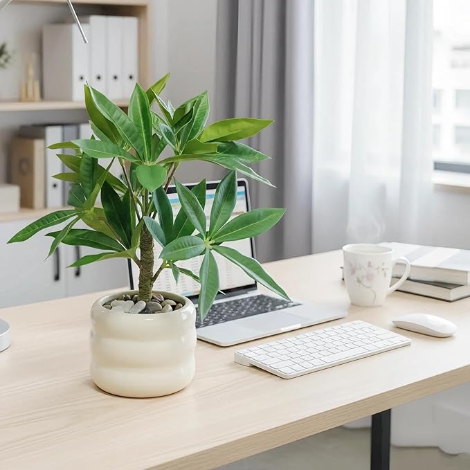 Artificial Money Tree Plant, Small Fake Potted Plants in Ceramic Pot, INS Tabletop Decor Accessories for Office, Side Table,Nightstand, Entryway,Bathroom, Living Room, Coffee Bar