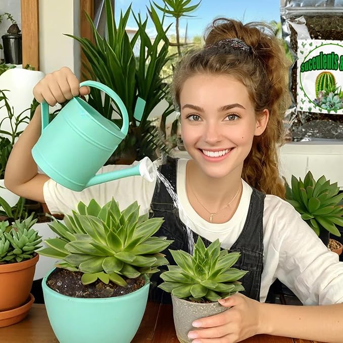 Doter Cactus & Succulent Soil Mix 10qt, Chunky Well-Draining Soil for Indoor Plants - Spike & Bloom
