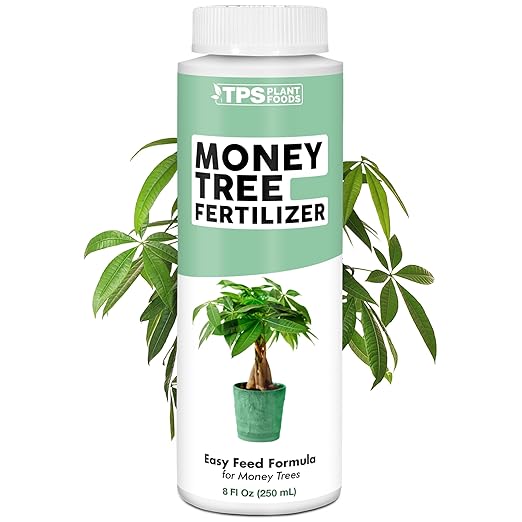 Money Tree Fertilizer – Liquid Plant Food for Lush Foliage, Healthy New Growth & Stronger Roots, 8 oz