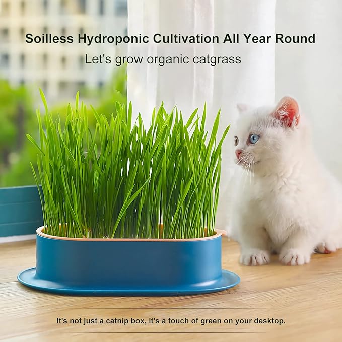 3Pcs Cat Grass Planter (No Seeds Included) Wheatgrass Planting Trays Hydroponic Cat Grass Growing Kits for Indoor Cats Soilless Organic Nursery Box Pet Grass Pot (I)
