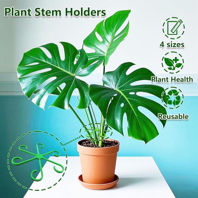 8PCS Climbing Plant Stem Supports 4 Sizes, Reusable Plastic Stakes Indoor/Outdoor Garden Flower Growth Accessories Stem Holder for Thriving Plant Growth