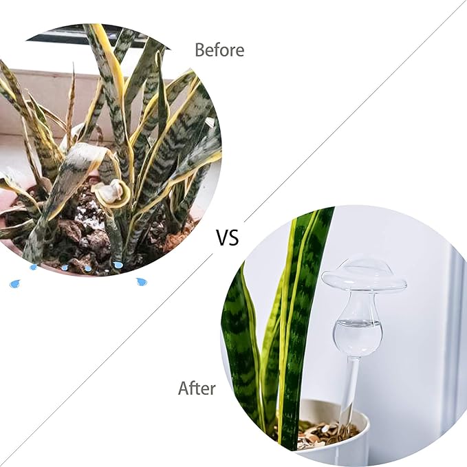 Kingbuy Self Watering Globes Plant Waterer Device Bird Shape Hand Blown Clear Glass Bulb for Indoor or Outdoor Plants, 4 Pack