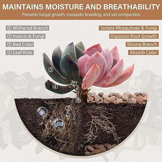 NUPICK 6 lbs Pebbles for Indoor Plants, 3/8 Inch Pea Gravel for Fish Tank, Decorative Rocks for Succulent, Natural River Stones for Vases, Cactus, Landscaping, Bird Bath, Aquarium, Peach