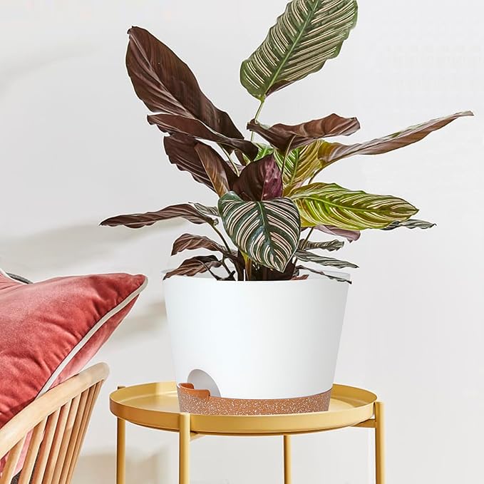 SwinDuck 12inch Large Self Watering Plant Pot, Plastic Cylinder Planter with 60Oz Deep Reservoir and Saucer for Indoor Outdoor Plants Flowers Houseplants, White with Brown