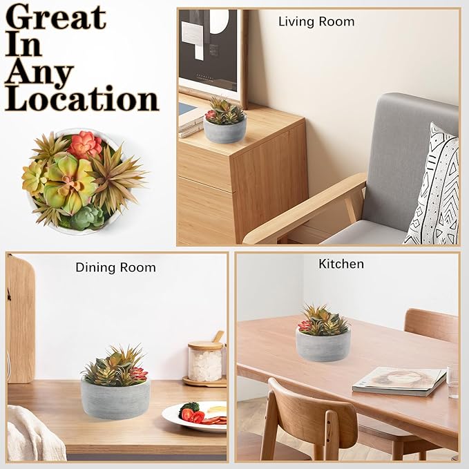 6 Inch Artificial Succulent Plants in Pots,Realistic Fake Succulents with Gray Ceramic Pot for Home Office Desk Bathroom Coffee Table Decor