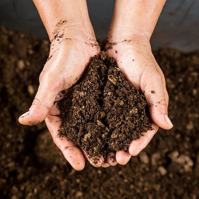 Doter Organic Sphagnum Peat Moss, Added to Soil and Enriches Plant Roots, Gardening Soil Amendment and Carnivorous Plant Soil Media(1qt)