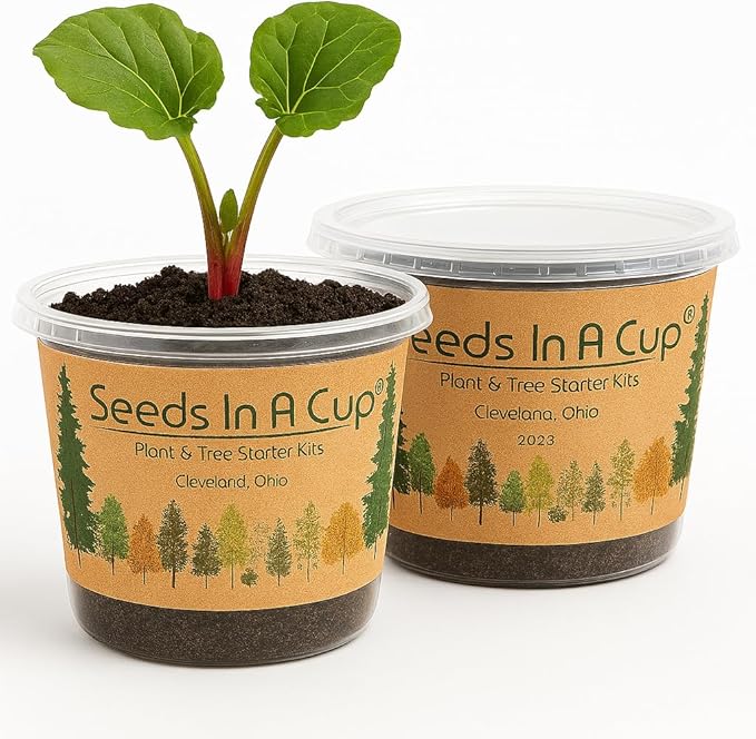 Seeds In A Cup® Plant Grow Kit – 60+ Varieties of Vegetables, Herbs & Flowers | Indoor & Outdoor Seed Starter for Kids & Adults | Grow Your Own Garden | Gardening Gift (Borage)