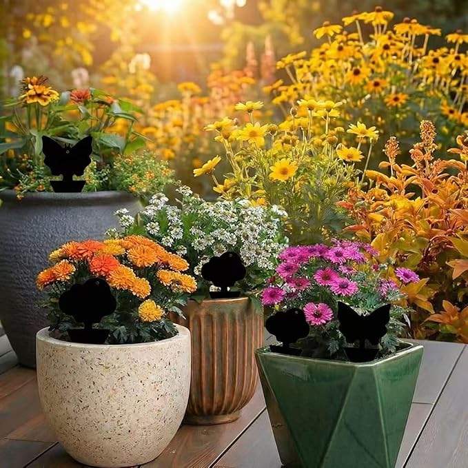 100 Pcs Sticky Traps for Fungus Gnat (Plants), Fruit Fly, Whitefly, and Fly, Yellow Sticky Insect Catcher Traps for Indoor/Outdoor, Kitchen, and Plants, High-End Glue, Non-Toxic (100 Pcs Black)