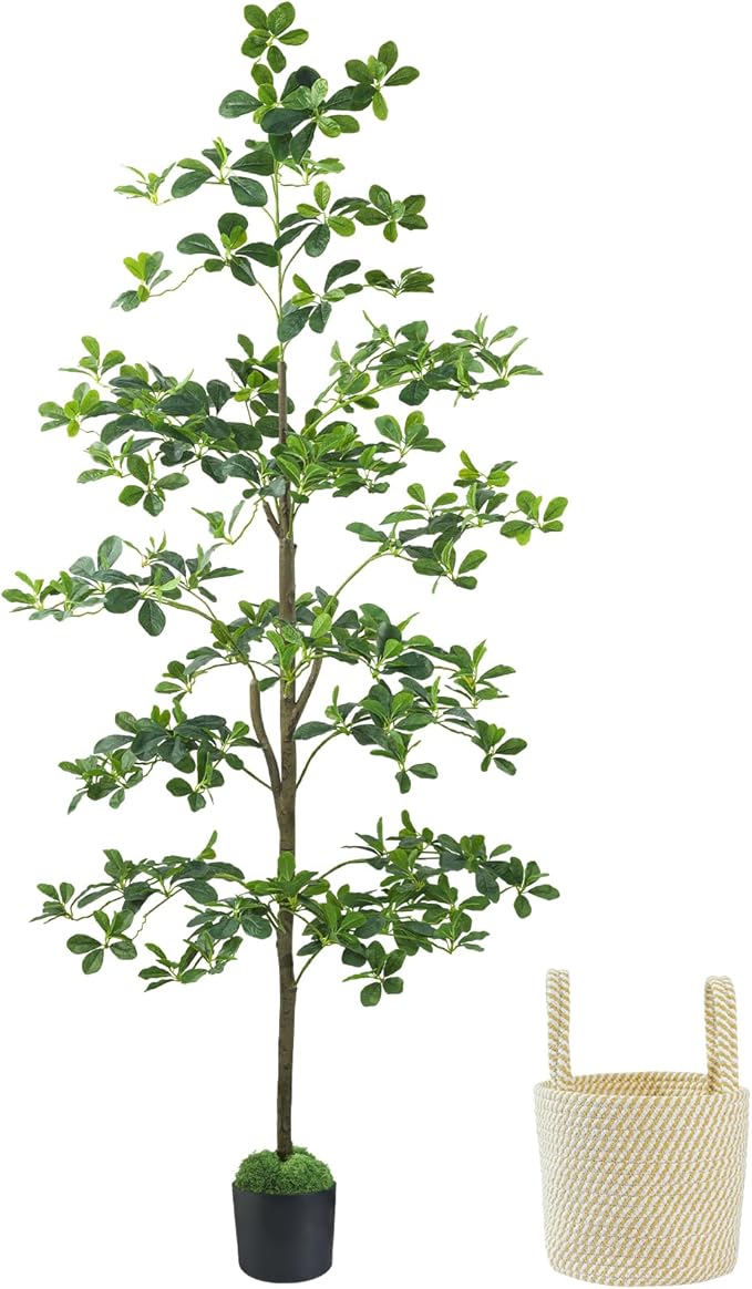 Caxchiling Artificial Black Olive Tree 6FT, Fake Potted Tree for Indoor Outdoor, Lifelike Faux Floor Plants with Moss Topper and Cotton Basket, Home Office Living Room Bedroom Doorway Hallway Decor