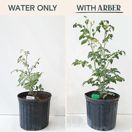 Organic Liquid Plant Food & Fertilizer – Indoor/Outdoor for Houseplants, Vegetables & Flowers, Monstera & Money Tree – OMRI Listed, Pollinator Safe – Easy Weekly Mix (Nutrition & Health Set)