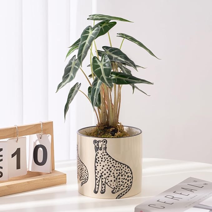 STHIE 5 Inch Ceramic Planters for Indoor Plants, Funny Small Plant Pots with Drainage, Unique Decorative Cute Flower Pot Panthers Round Flowerpots
