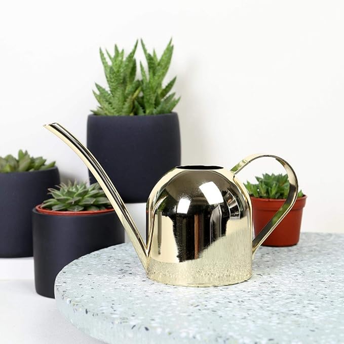 Watering Can, Stainless Steel Watering Can Mini Watering Pot Plant Watering Can with Long Spout Houseplant Potted Watering Can for Outdoor Office Succulent Bonsai Garden Flower Gift 500ml(Gold)