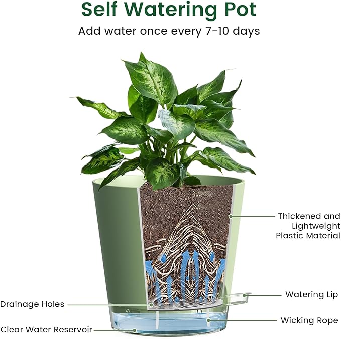 Meowell 6 inch Self Watering Pots for Indoor Outdoor Plants, 6 Pack Flower Plant Pots with Drainage Holes and Clear Reservoirs, Visible Water Level, Plastic Planters with Wicking Rope, Green