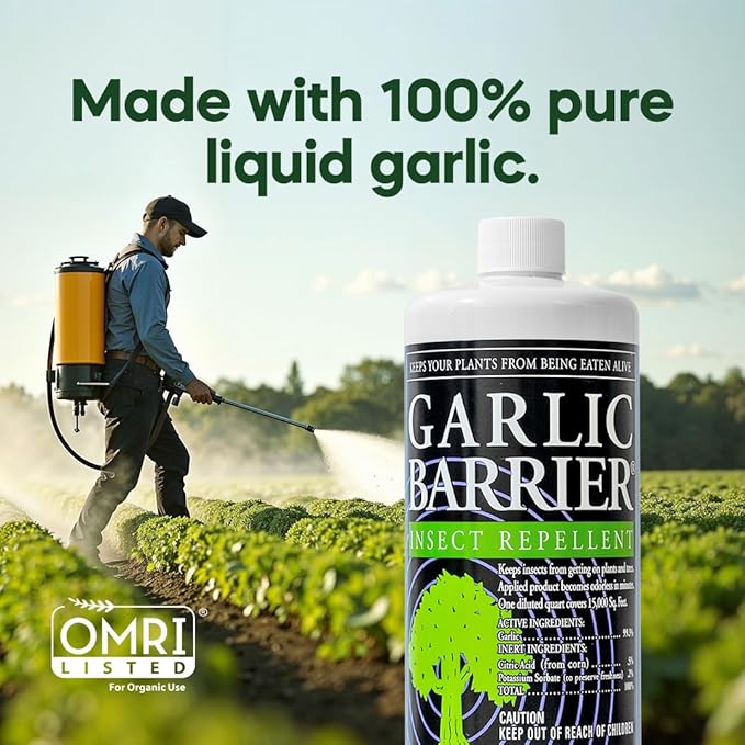 Liquid Garlic Insect Repellent Concentrate, 32 fl oz – OMRI Listed Garlic-Based Formula for Farms, Crops, Gardens & Greenhouses – Indoor & Outdoor Plant Protection