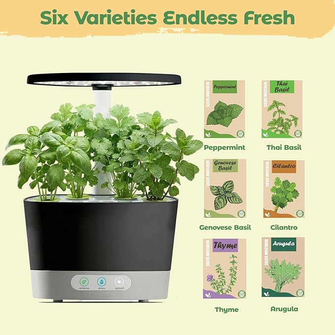 Herb Seed Pod Kit for AeroGarden, idoo, Ahopegarden, MUFGA Hydroponics Garden with Genovese Basil, Thai Basil, Thyme, Cilantro, Peppermint, and Arugula - Compatible with All Hydroponics (8-Pod)