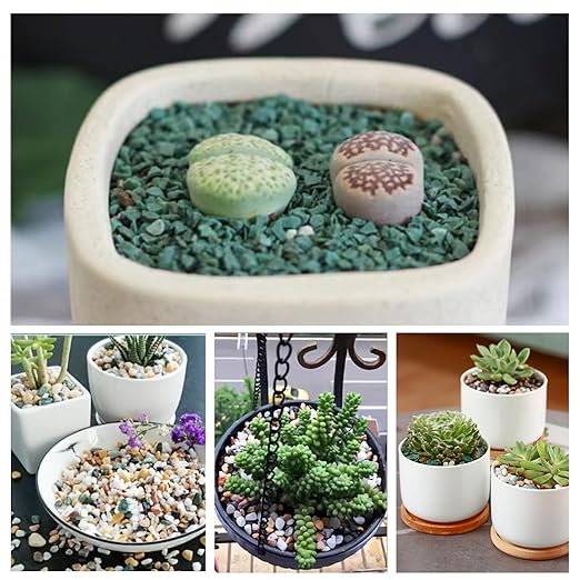 18 lbs Succulent and Cactus Bonsai Pebbles, 6-9mm Decorative Landscaping Stones Natural Garden Gravel Rocks for Indoor Outdoor Plants Aquariums DIY, and Gardening Top Dressing, Green Zeolite