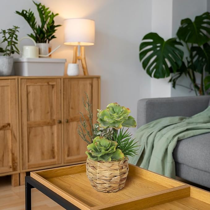 Villa Como 10" Large Succulents Plants Artificial in Wooden Pots, Potted Faux Succulent Arrangement with Woven Pots, Fake Desk Succulents Plants for Home Bathroom Shelf Table Indoor Decor
