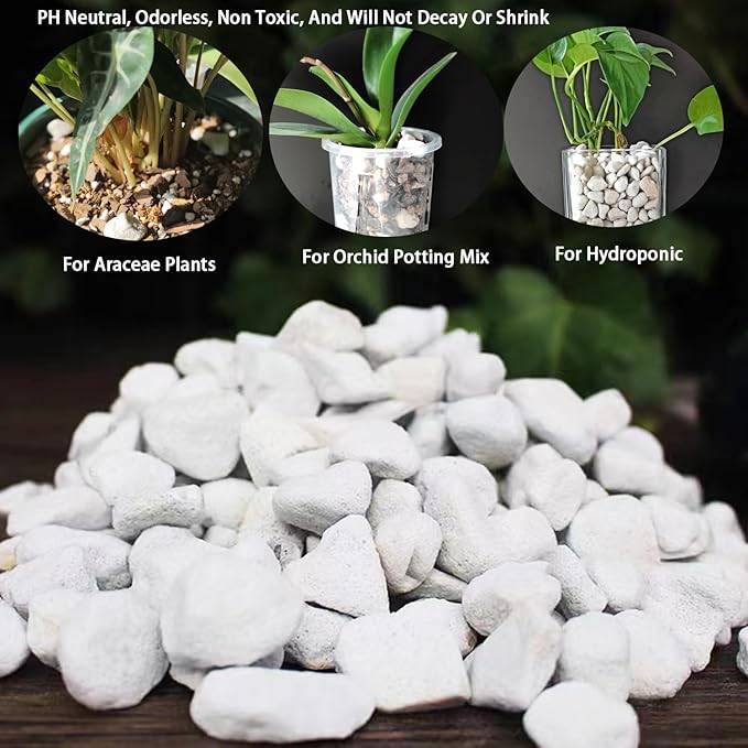 Natural Organic 1-2CM Chunky Perlite 5QT for Plants Horticultural Coarse Pearlite Bulk Potting Mix Garden Soil Amendment for Enhanced Drainage and Ventilation for Indoor Outdoor Plants