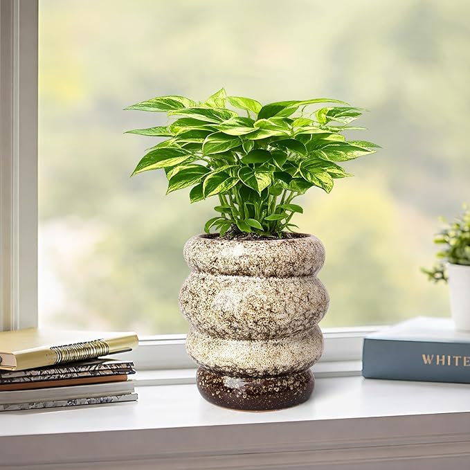Ceramic 5 inch Plant Pot - Planter for Indoor Plants with Drainage Hole, Flower Pots for Orchid, Succulent,Outdoor Plants, Modern Glaze Planters for Home Office Decor Gift