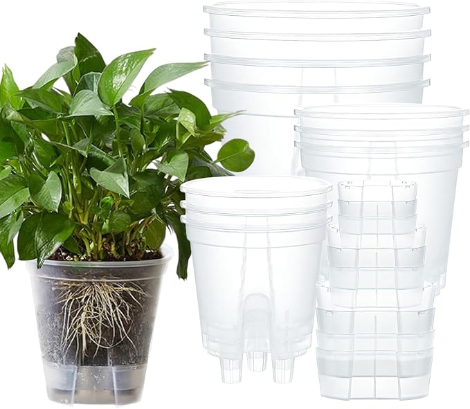 10Pcs Clear Self Watering Pots for Indoor Plants, Bare Root Planters with Deep Reservoir & High Drainage Holes, Bottom Watering Semi Hydroponic Pots for Orchids, Herbs & Flowers(10)