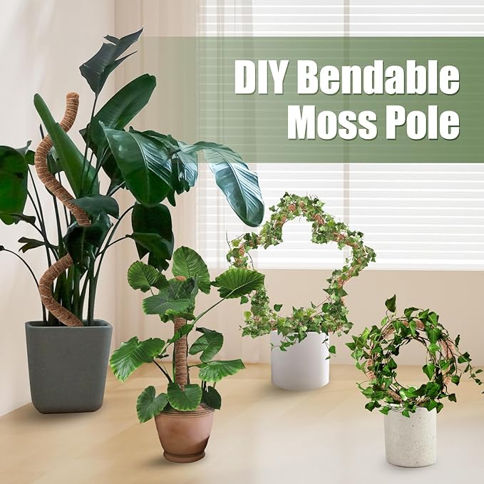 4 Pack Moss Pole 63 Inch Monstera Plant Support Moss Poles Bendable for Climbing Plants Longer Coco Coir Sticks Support Stakes Tall for Indoor Creeper DIY Shape Plants Grow Upwards