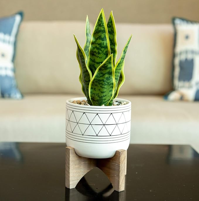 Flora Bunda 5" White Black Ceramic Geometric W/Wood Stand Planter Mid Century