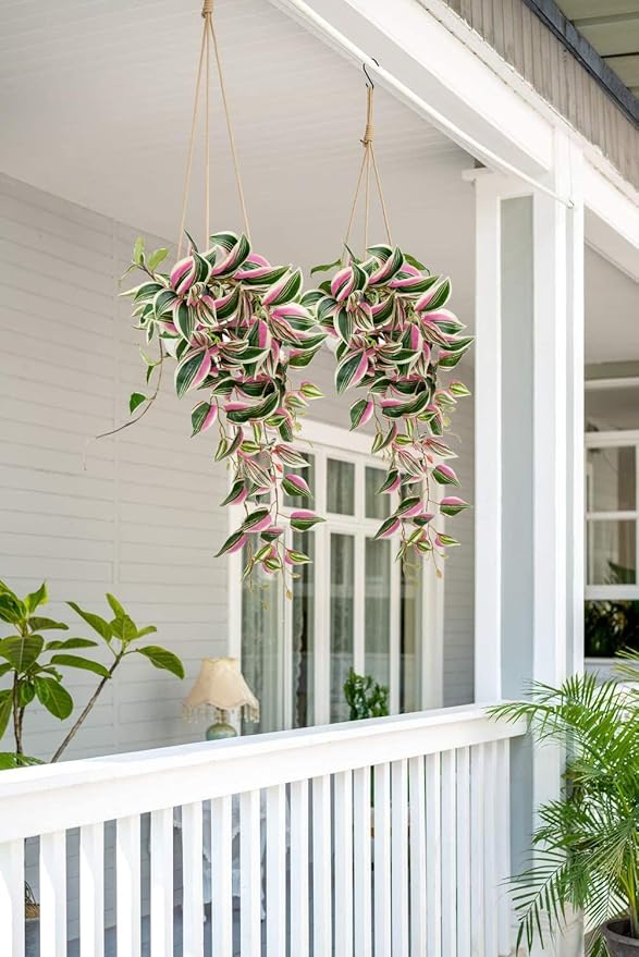 DILATATA Fake Hanging Plants Artificial Hanging Plants 92 Leaves Faux Wandering Jew Hanging Leaves Plants for Wall Shelf Home Indoor Outdoor Decor - 2 Pack