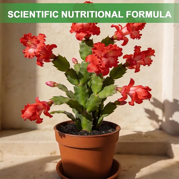 All-Natural Christmas Cactus Potting Soil Mix 10qt- Premium Well-Draining & Aerated ，Designed Specifically for Succulents and Cacti