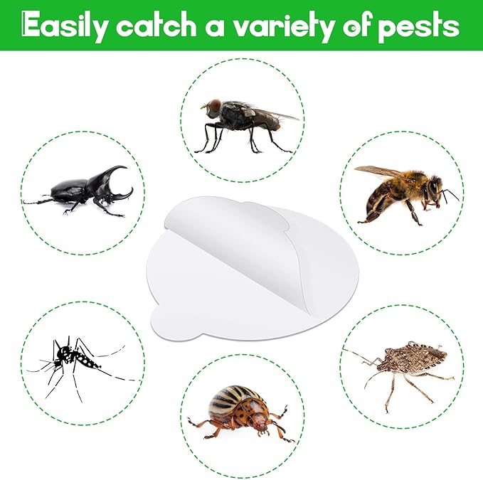 24 Pcs Round Insect Trap Refillable Glue Boards Sticky Fruit Fly Trap Mosquito Fly Killer for Mosquitoes Fruit Flies Gnats Moths Fits Most Models Indoor Outdoor Lamp (4.3 Inch)