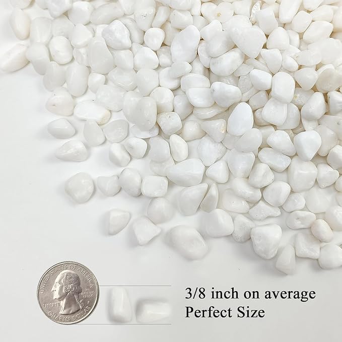 FANTIAN 5 lbs White Pebbles for Indoor Plants, 3/8 Inch Decorative White Gravel, Polished River Rocks for Potted Plants Vase Cactus Bird Bath and Outdoor Garden Landscaping