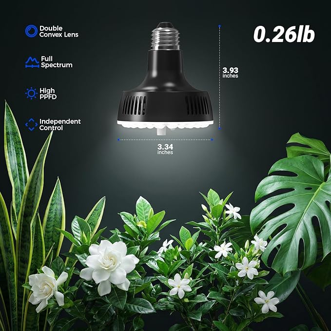 Barrina Orbgrow OG11A Grow Light Bulbs for Indoor Plants, Integrated Dimming & Timing, 5000K 22W(2 x 11W, 200 Watt Equiv), E26 Plant Light Bulb, Full Spectrum for Seeds and Greens, 2 Packs, Black