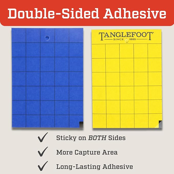 Tanglefoot Sticky Tangle-Trap Cards 20 Pack - 4"x6" – Double-Sided Yellow & Blue Hanging Traps for Garden, Plants & Greenhouse Use