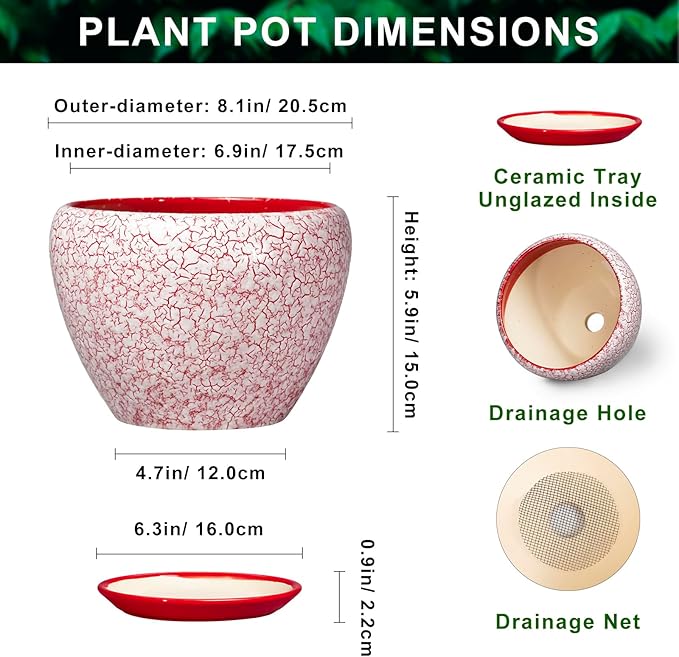 Ceramic Planter for Plants - 8 Inch Plant Pot Indoor with Drainage Hole and Tray, Round Flower Pots for Indoor Outdoor, Modern Planter, Home Decor, Gifts for Plant Lovers, Crackle Red