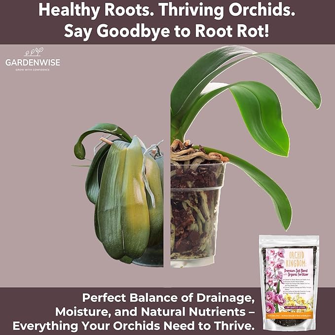 GARDENWISE Orchid Potting Mix – Orchid Bark, Sphagnum Moss, Tree Fern & Perlite for Repotting Phalaenopsis Orchids, Indoor Plants, Orchid Soil Medium – Sustrato para Orquídeas (10 Quart)