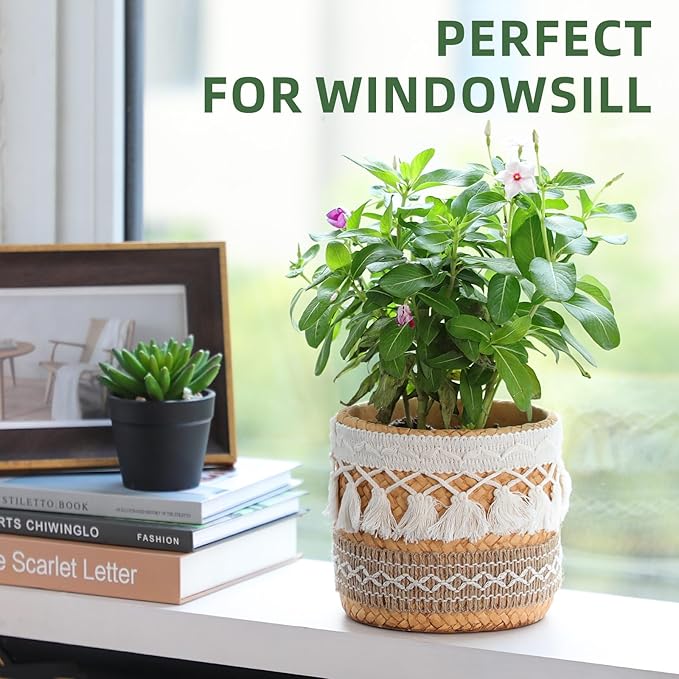 vomiceak Concrete Rattan-Style Plant Basket Planter, 5" Boho Plant Pots Indoor Outdoor with Drainage Hole, Flower Pot for Succulents, Herbs, Modern Farmhouse Decor, Ideal Gift for Plant Lovers