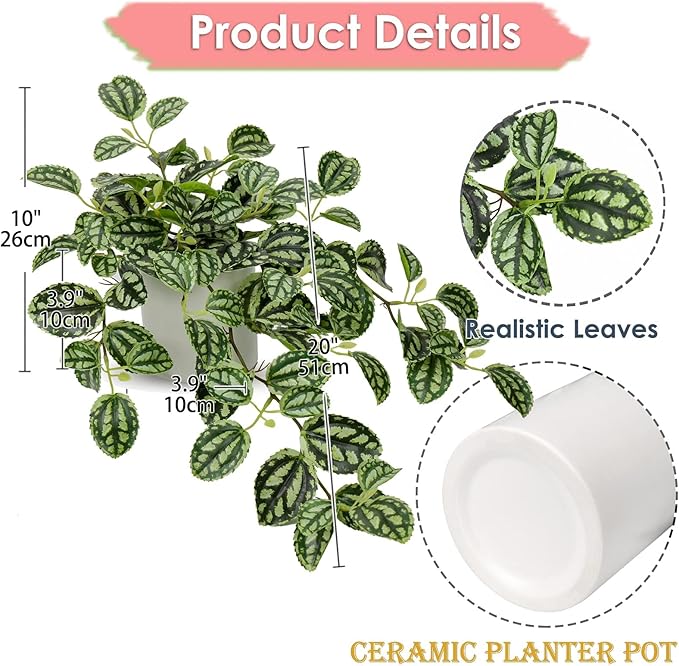 GnFlus Fake Hanging Plants, 20 Inch Artificial Ivy Plant in Ceramic Pot Faux Watermelon Peperomia Trailing Vine Plant Potted for Home Bedroom Office Table Shef Desk Indoor Outdoor Decor Green