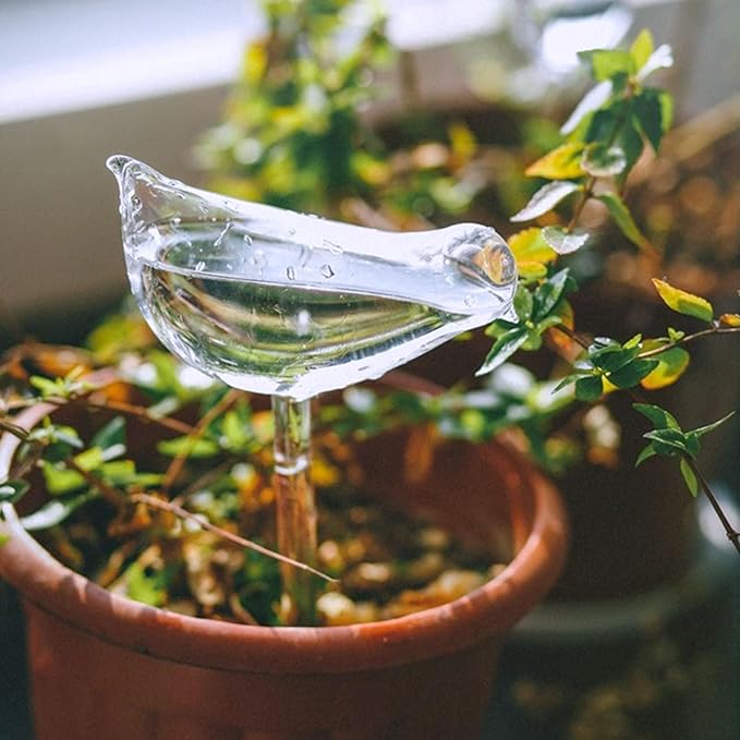 jabrand 6pcs Self Watering Planter Insert Bird Shape, Clear Plant Watering Globes Spike Devices for Indoor Outdoor Plants, Gift for Plant Lovers