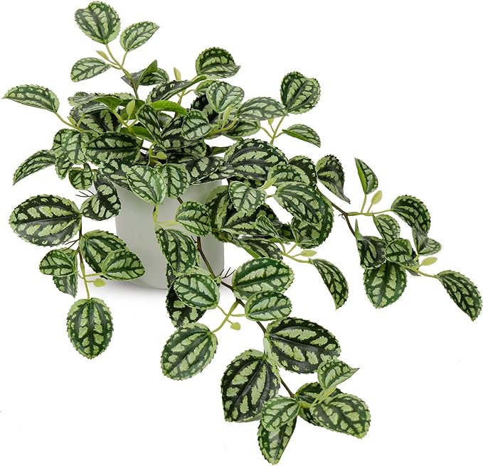 GnFlus Fake Hanging Plants, 20 Inch Artificial Ivy Plant in Ceramic Pot Faux Watermelon Peperomia Trailing Vine Plant Potted for Home Bedroom Office Table Shef Desk Indoor Outdoor Decor Green